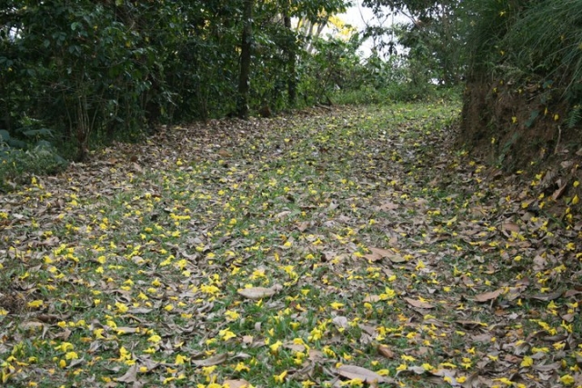  Trilhas naturais